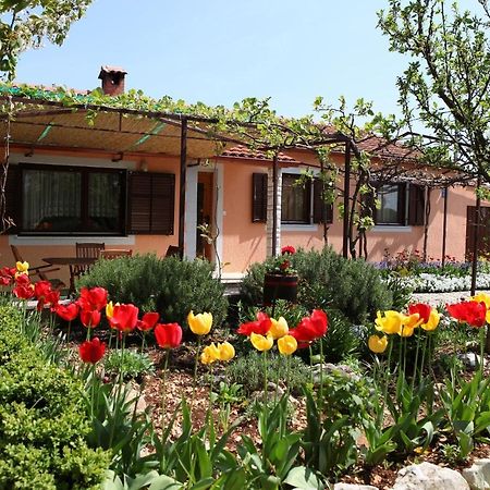 Tinjan Villa Fragola - Holiday House With Large Garden מראה חיצוני תמונה