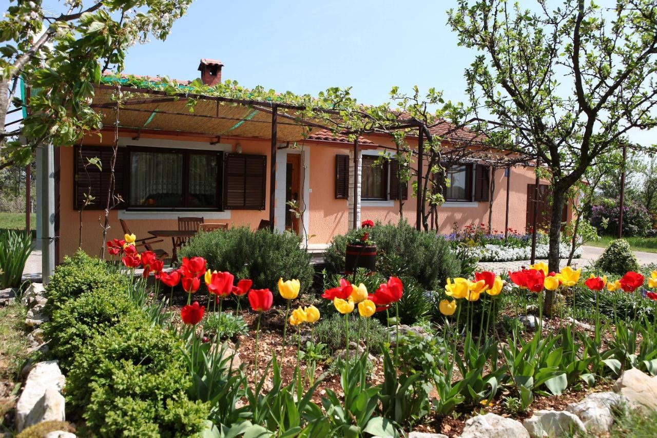 Tinjan Villa Fragola - Holiday House With Large Garden מראה חיצוני תמונה