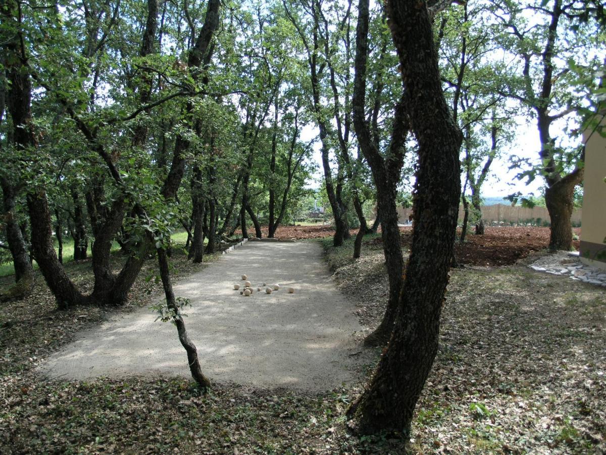 Tinjan Villa Fragola - Holiday House With Large Garden מראה חיצוני תמונה